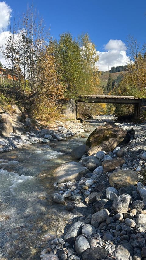Chalet Pallegg House in Salzburgerland