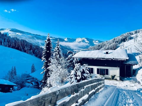 Chalet Pallegg House in Salzburgerland