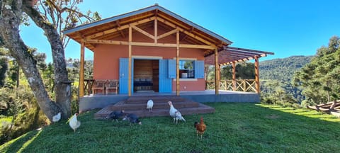 Property building, Facade/entrance, View (from property/room), Animals, Garden view
