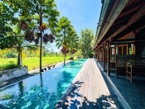 Day, Garden, Garden view, Pool view, Swimming pool, Swimming pool, sunbed
