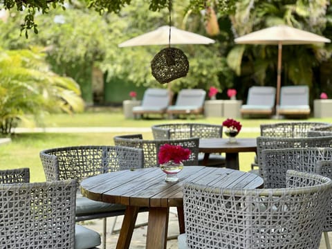Garden, Lounge or bar