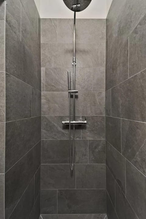 Attic Lake View with Free Parking Apartment in Saint Moritz