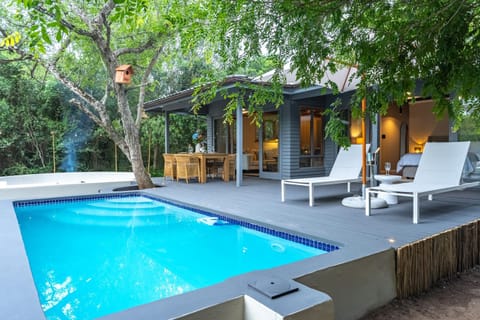 Property building, Garden view, Swimming pool, sunbed