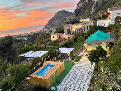 Garden, Swimming pool