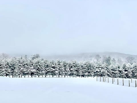 Longpond House Apartment in Salisbury