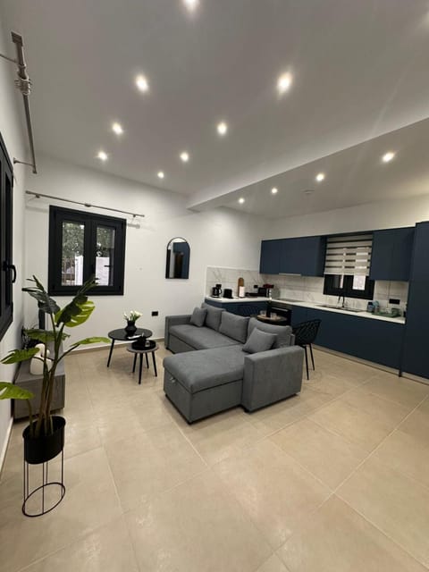 Kitchen or kitchenette, Living room, Seating area