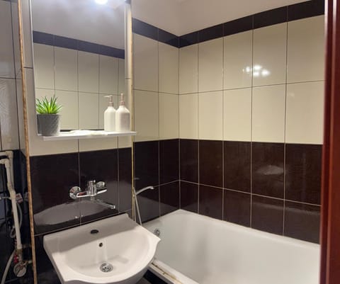 Craiova Centru S 3 Apartment in Craiova