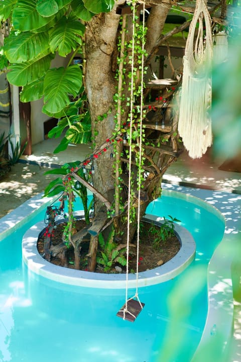 Spring, Day, Garden, Garden view, Pool view, Swimming pool, Swimming pool