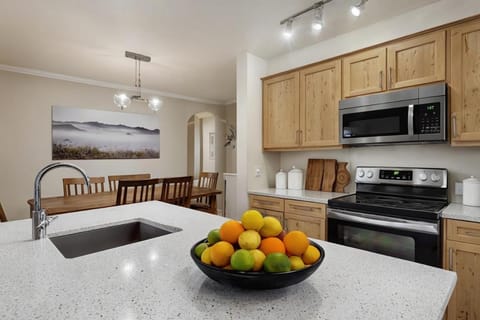 Mountain Sky Stay House in Aspen