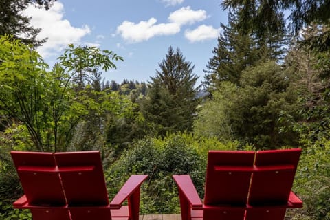 Spring, Day, Natural landscape, Garden view