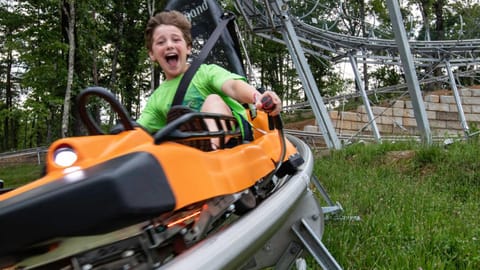 Bears Haven Lodge cabin Cabin in Sevier County