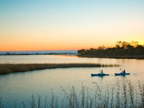 Vibe! Coastal living experience! Screened pool! House in Seagrove Beach