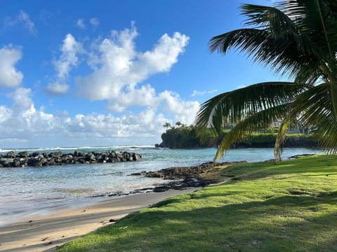 Natural landscape, Beach