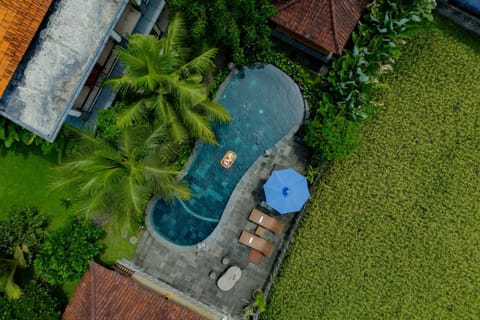Property building, Natural landscape, Pool view, Swimming pool