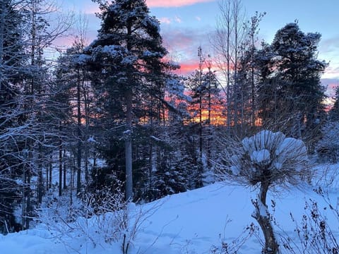 Family home Kuusirinne Apartment in Rovaniemi