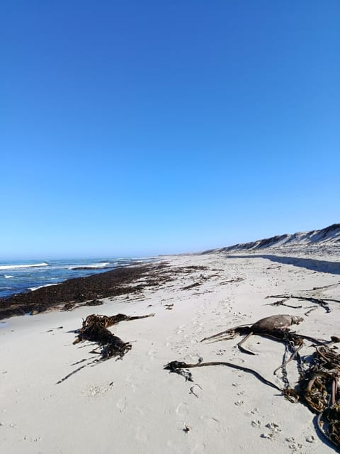 Malkop Sea View Resort Campground/
RV Resort in Western Cape