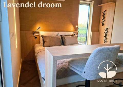 Bed, Living room, Photo of the whole room