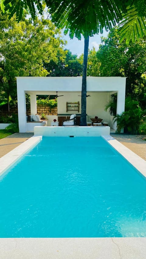 Garden, Pool view, Swimming pool