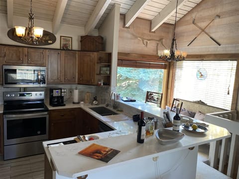 Kitchen or kitchenette, kitchen