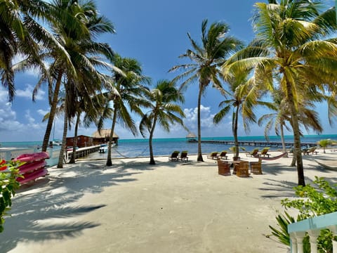 Beach, Sea view, sunbed