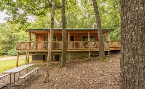 Table Rock Lake Cabin - Sassafras #14 with Lake Access Hot Tub Outdoor Pool Cabin in Shell Knob