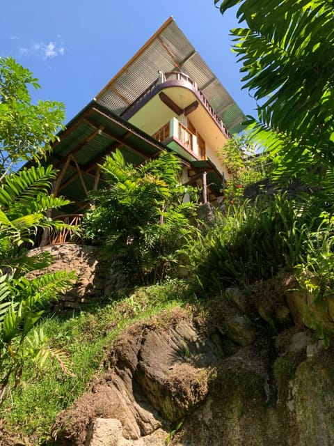 Property building, Garden view