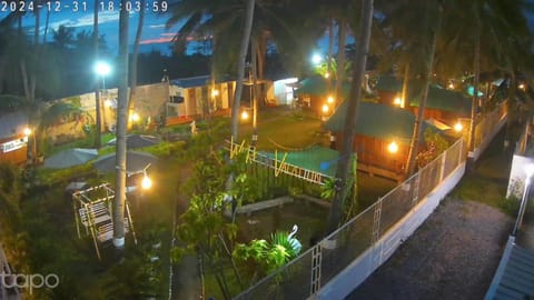 Night, Garden, Garden view