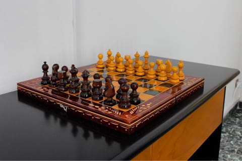 Vela Apartment - 200 mt Porto Apartment in Livorno