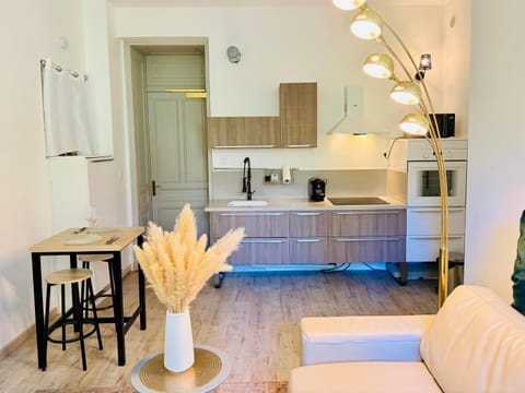 Le 403 du Bernascon - Centre, Thermes & Calme Apartment in Aix-les-Bains