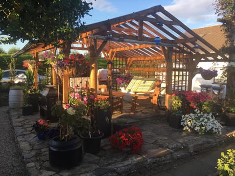 Patio, Garden