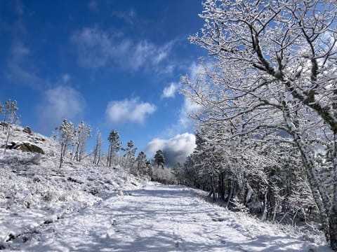 Day, Natural landscape, Winter, Mountain view