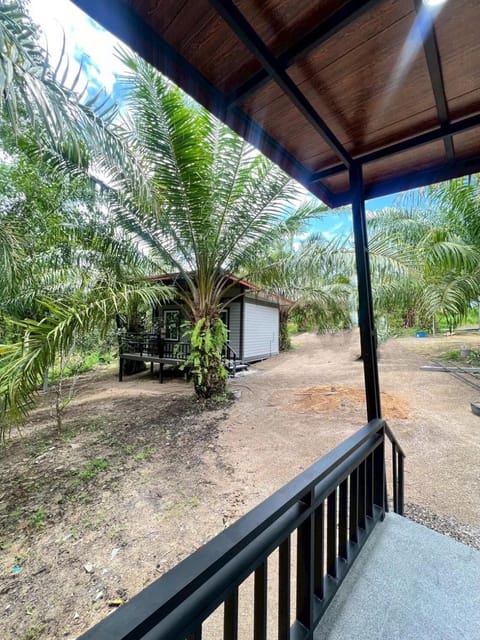 Palm tree garden house NinemintoAonangbeach House in Krabi Changwat
