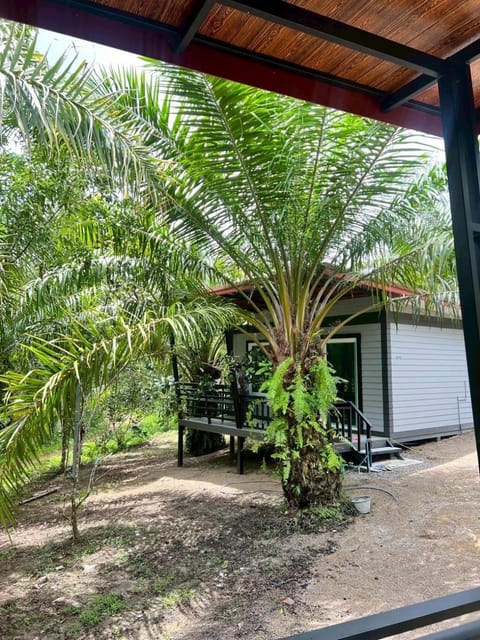 Palm tree garden house NinemintoAonangbeach House in Krabi Changwat