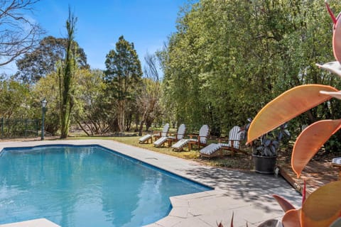 Garden, Swimming pool, sunbed
