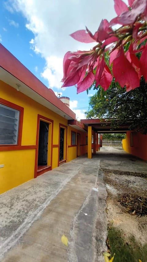 Property building, Day