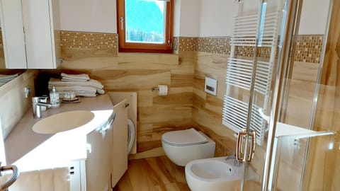 Shower, Toilet, Bathroom, bidet, hair dryier, heating, towels, washing machine