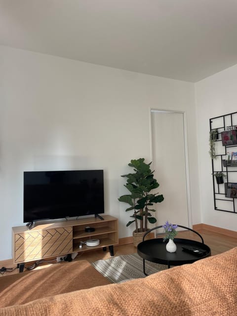 Communal lounge/ TV room, TV and multimedia