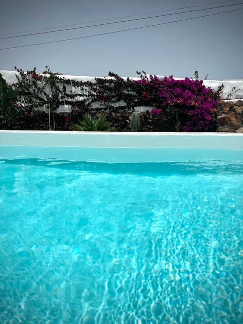 Winter, Garden, Garden view, Swimming pool, internet