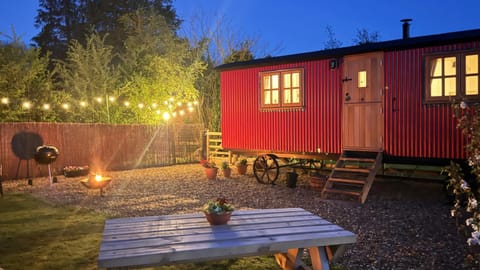 Property building, Night, Garden, Garden view