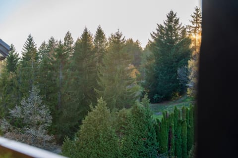 Apartman VIWA - Prestige Forest Zlatibor Apartment in Zlatibor