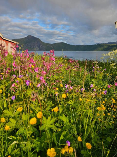 Garden view, Sea view