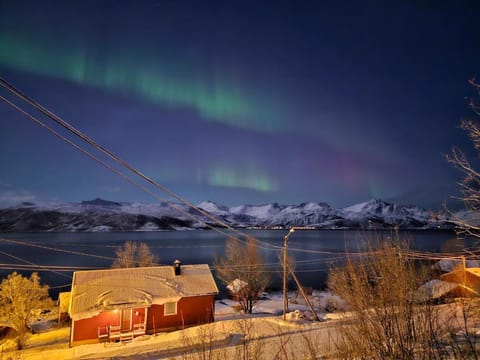 Winter, Sea view, Street view