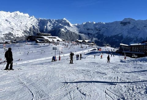Appartement Samoëns 1600 Apartment in Arâches-la-Frasse