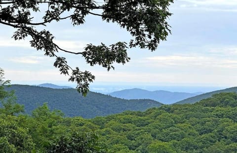 New! Scenic Wintergreen Home Dog Friendly House in Nelson County