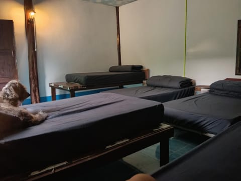 Easy sleep Hostel in Sala Dan