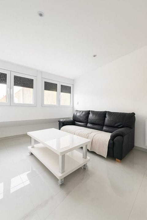 DeLuxe Studio Lumineux, Rénové, Parking Gratuit, MULHOUSE CENTRE Apartment in Mulhouse