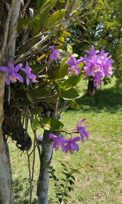 Casa de Campo em Araruama House in Cabo Frio