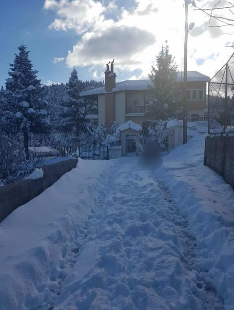 Winter