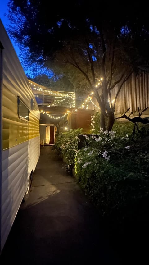 Night, Garden view