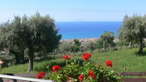 Day, Natural landscape, Garden, On site, City view, Garden view, Sea view